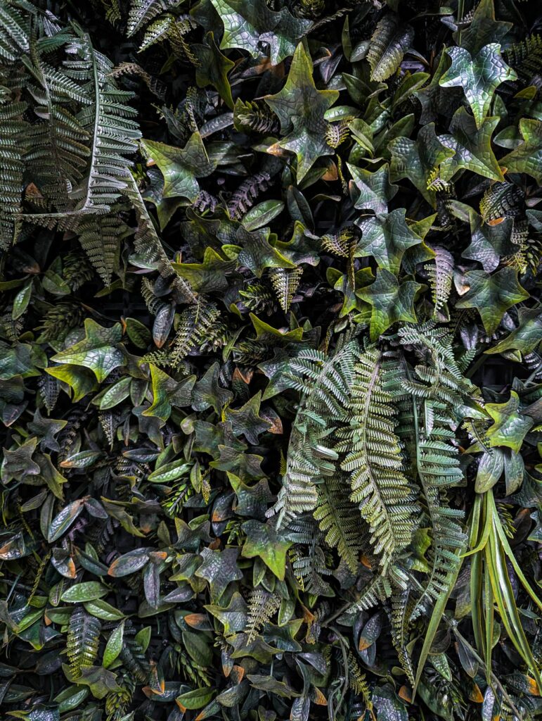 LES MURS VEGETAL ici naturelle 