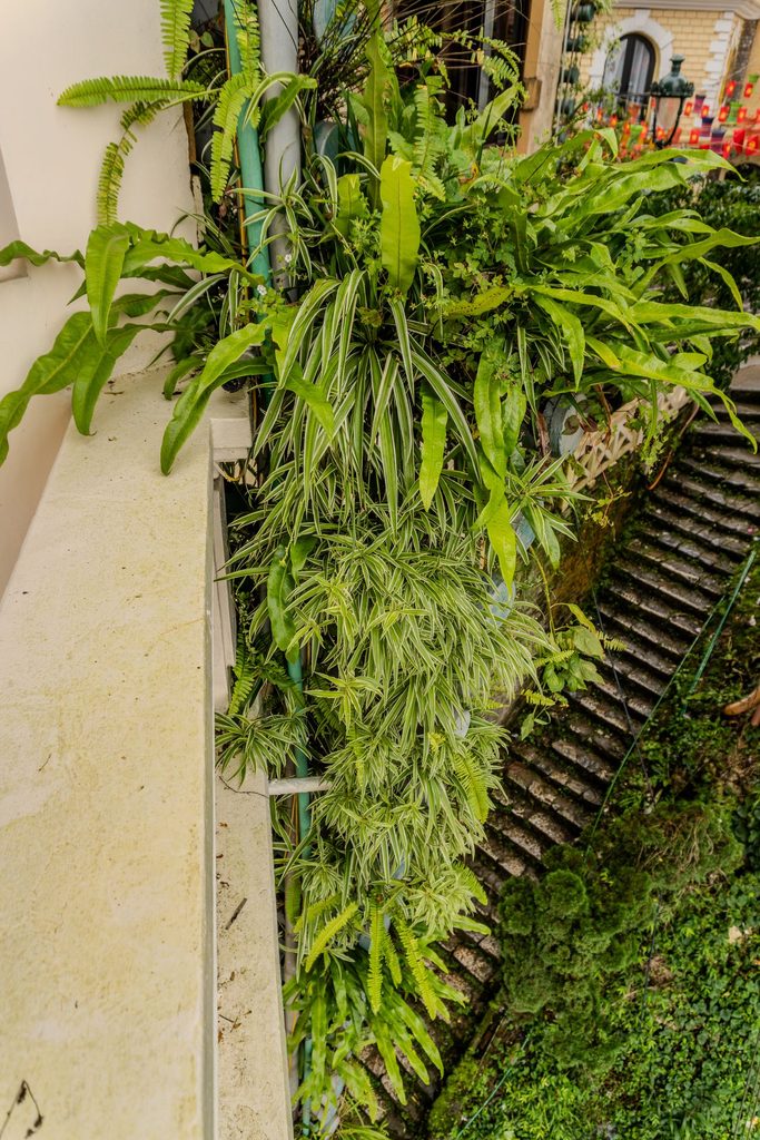 spécialiste du mur végétal sur mesure