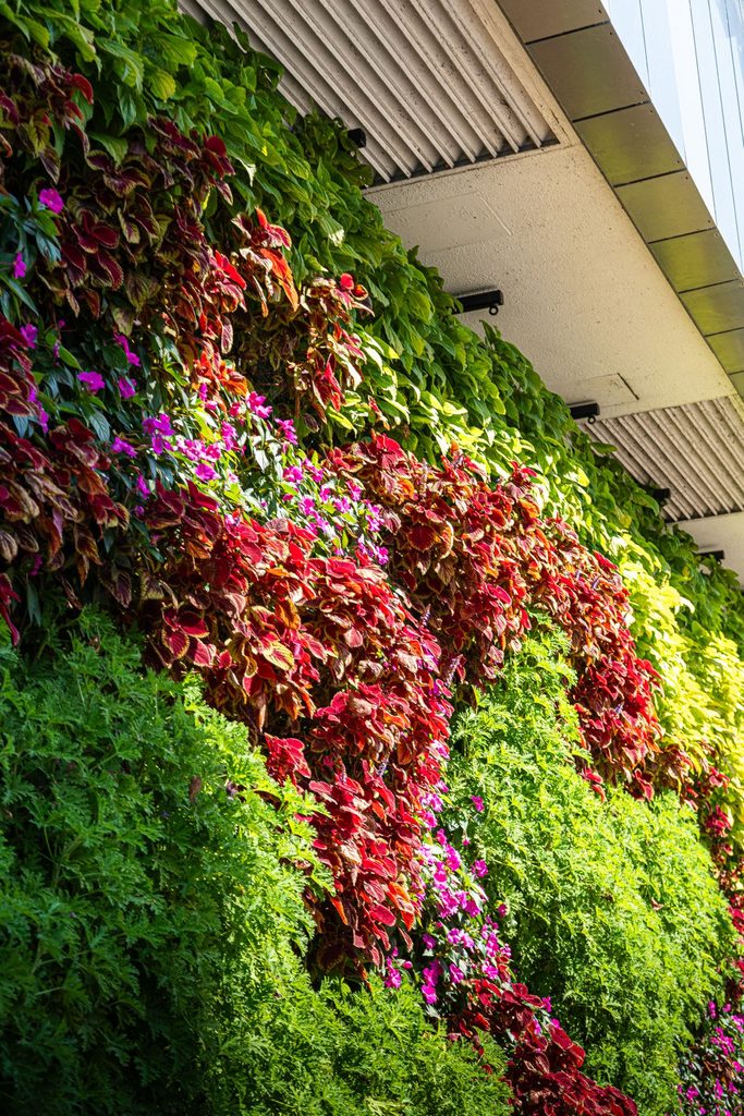 spécialiste du mur végétal sur mesure